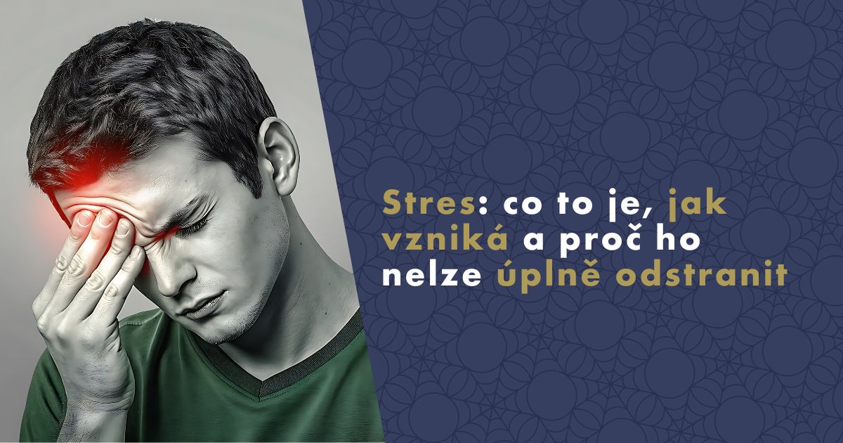 stres-co-to-je-jak-vznika (1)